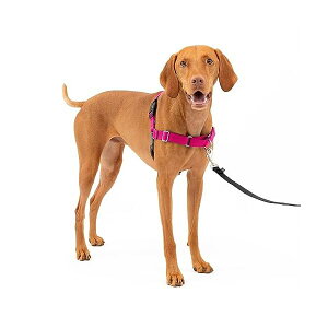 PetSafe�i�y�b�g�Z�[�t�j �C�[�W�[�E�H�[�N�n�[�l�X ���p ��������h�~ �U�� �g���[�j���O�p�n�[�l�X�yM�T�C�Y ���Y�x���[���O���[�z