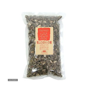 �n�b�s�[�z���f�C �ɏ�Ђ܂�� 1L�i��300g�j �� �t�[�h �a ���� �Ђ܂��̎�