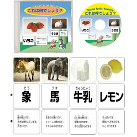 これは何だろう？（CD付）