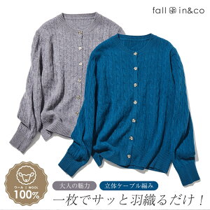 J[fBK E[100 fB[X E[jbg P[u҂ Z[^[ ~ Ht  Ci[  h HD fB[X t@bV 40 50 d˂₷ Vv  fall-in