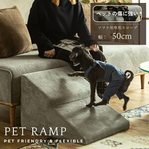 SSIiIyz\t@p Ki VjA ^ L     O[ k ؍ t@ubN