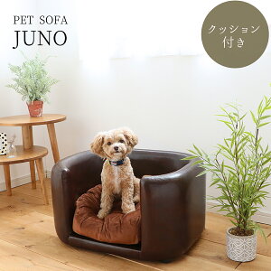 |Cg10{Iyz։Ƌ JUNO Wm ybg\t@ \t@ ybgp k   PETTO