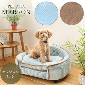 |Cg10{Iyz։Ƌ MARRON } ybg\t@ \t@ ybgp k   PETTO