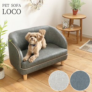 |Cg10{Iyz։Ƌ LOCO R ybg\t@ \t@ ybgp k   PETTO