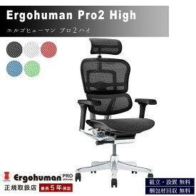 【ポイント10倍！】【開梱設置付き】 関家具 新型 エルゴヒューマン プロ2ハイ Ergohuman Pro2 プロ2 正規品 オフィスチェア 高機能 おしゃれ 在宅ワーク 人気 デスク用チェア ヘッドレスト付き ハイタイプ EHP2-HAM