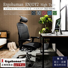 ※ポイント10倍！【開梱設置付】 関家具 新型 エルゴヒューマン エンジョイ2 Ergohuman Enjoy2 ハイタイプ 正規品 オフィスチェア 多機能 高機能 高級 腰痛 ランバーサポート ヘッドレスト オススメ オフィス テレワーク ゲーミング おしゃれ 在宅ワーク EJ2-HAM