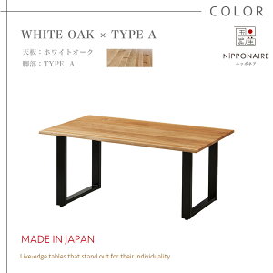 BFN[|ΏەiI|Cg10{IyJݒutz։Ƌ jb|lA OA RAGUA NIPPONAIRE { e[uPi _CjOe[u 200cm H e[uZbg _CjOZbg _C