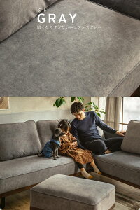 SSIiIyz L  ɋ  ybg Ibg}Pi Xc[ gݍ킹\t@ g Ƒ rO k   ؍CeA O[ uE 