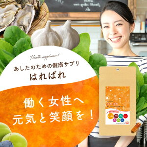 y ۂ { vZ^ }}̊ Tv z ͂΂ 31 t_ L ɂɂ GABA AV  ~ y Mo A~m_ R[Q S r^~B1 r^~B6 r^~E ̑ 