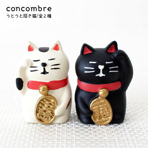 RRu ( concombre ) fR ( DECOLE ) u Ƃ L v/ S2 ܂ ₵ }XRbg .