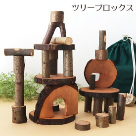 木のおもちゃ積み木 ツリーブロックス 約2.5kg マジックウッド社 ( デコア )　【 正規販売店 】