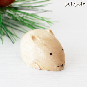 ۂۂ polepole ؐ u  V[Y w ˂ ( q ) x@y K̔X zy lΉs/[֕s z