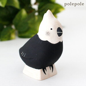 ۂۂ polepole ۂۂꓮ IJCR@y K̔X zy lΉs/[֕s z