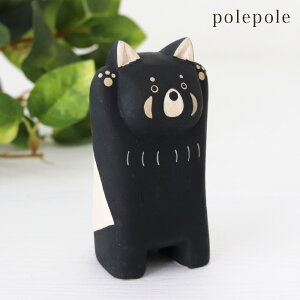 ۂۂ polepole ۂۂꓮ bT[p_@y K̔X zy lΉs/[֕s z
