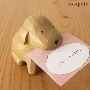 ۂۂ polepole gCv[h J[hz_[ uE@y K̔X zy lΉs/[֕s z