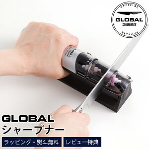 yTz GLOBAL O[o O[o V[vi[ ( u ) GSS-02 np@y K̔X zy [֕s z