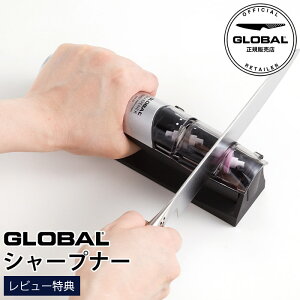 mRSLnyTz GLOBAL O[o O[o V[vi[ ( u ) GSS-02 np@y K̔X zy [֕s z