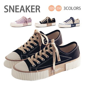 Xj[J[ fB[X Xj[J[ ₷ Xj[J[ LoX ؍ fB[X C r ₷ Ȃ y` JWA q[2.5cm