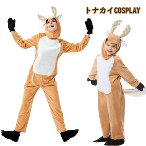 NX}X RXv fB[X qp T^ RXv giJC ߑ RX`[ T^RX T^ߑ T^RXv lp qp T^N[X RXv fB[X p[eB