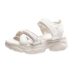 uv T_ fB[X X|[cT_ C JWA  T_ r[`T_ ₷ ɂȂ q[6cm ČC ʋ ʊw T_ r[`EGA