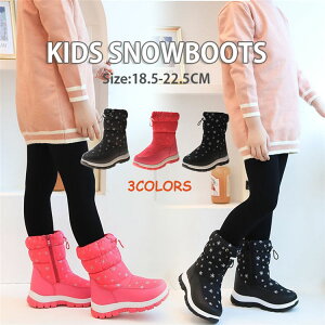 Ȃ Xm[u[c LbY kC V Xm[V[Y  {A C [gu[c Rҏグ h ~C C ȌC qC ~ EC^[u[c ̎q WjA  h 