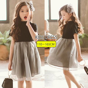 q s[X ̎q tH[}s[X hX ؍q IV ؂ւs[X o Pn `[XJ[g  vZX JWAs[X Ǝ ܎O 