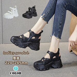 T_ fB[X T_ Cq[ vbgtH[V[Y nCq[8cm X|[cT_ ~[ Xj[J[ {v C V[Y ₷ ʋC ČC ʋ  30