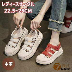 fB[X T_ X|[cT_ Xj[J[ T_ {v v ؊v 4cmq[ tbgV[Y _炩 ʋC y Ȃ r o ʋ ~ z h JWA 20