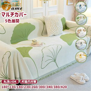 5F }`Jo[ C`E̗t Ǖ VFj[ \t@Jo[ uPbg lGp [΍ L΍ k  i` xbhJo[ ʎg tW CeA 