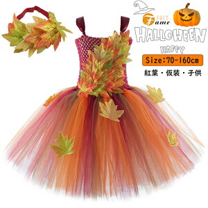 nEB `[ gt LbY RXv IW tutu P q s[X `[  w vZX  o Pl p[eB[ ߑ nEBߑ IV ̎q L