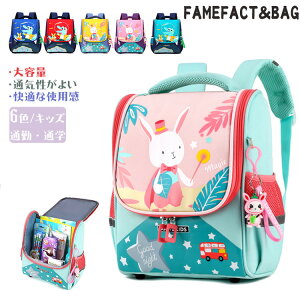 LbY bNETM  jp LbY ʊwbNj̎q ̎q y 傫 ʊw ʋ IV bN LbY bNTbN ʊw w Z LbYbNTbN 