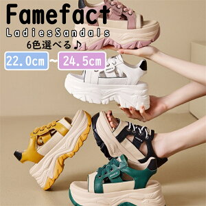 6F T_ fB[X v X|[cT_ {v Xj[J[ nCq[7.5cm C JWA  T_ r[`T_ ₷ ɂȂ  ČC ʋ ʊw T_ r