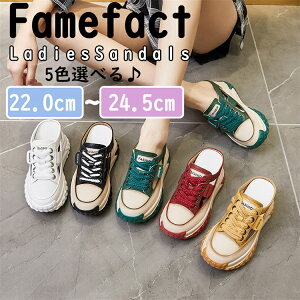 T_ fB[X Xbp X|[cT_ Xj[J[ nCq[8cm C JWA  T_ r[`T_ ₷ ɂȂ  ČC ʋ ʊw T_ r[`