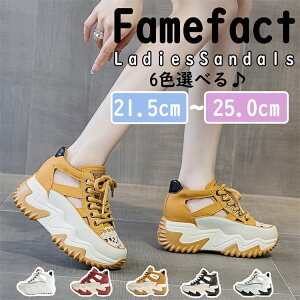 T_ fB[X Xj[J[ X|[cT_ nCq[7.5cm C JWA  T_ r[`T_ ₷ ɂȂ  ČC ʋ ʊw T_ r[`EGA 21