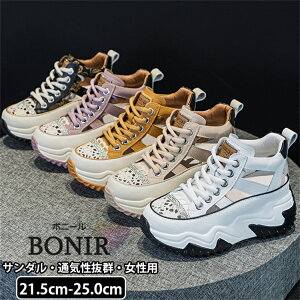 Xj[J[ T_ fB[X Xj[J[ X|[cT_ nCq[7cm C JWA  T_ ₷ ɂȂ  ČC ʋ ʊw T_ r[`EGA 215-250mm