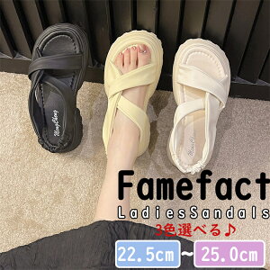 T_ fB[X T_ C JWA  T_ r[`T_ ʋC RtH[g r[`T_ ₷ ɂȂ q[5cm ČC ʋ ʊw T_ r[`