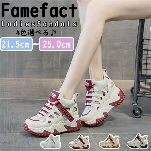 Xj[J[ fB[X T_ fB[X Xj[J[ X|[cT_ nCq[7cm C JWA  T_ r[`T_ ₷ ɂȂ  ČC ʋ ʊw T