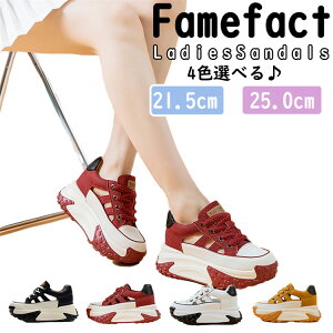 Xj[J[ fB[X T_ T_ Xj[J[ X|[cT_ C JWA  T_ r[`T_ ₷ ɂȂ  ČC ʋ ʊw T_ nCq[