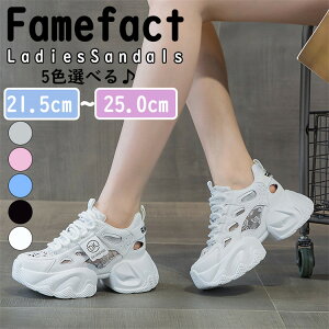 Xj[J[ T_ fB[X v Xj[J[ X|[cT_ C JWA  T_ ₷ ɂȂ  ČC ʋ ʊw T_ r[`EGA nCq[7cm 215-25