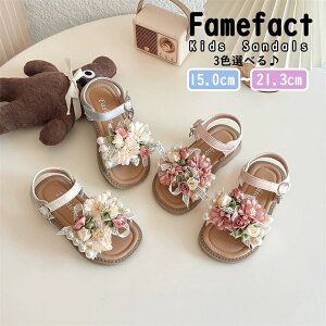 LbY q T_ C  y  ₷ Vo[ zCg sN ̎q r[`T_ w P 킢 WjA   ؂ ɂ 15.0-21.3cm