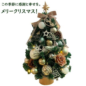 NX}Xc[  ^ ~jc[I[igZbg gݗĊȒP Christmas tree sN u  k d LED Cg LL   LL DIY ڂ O[ X