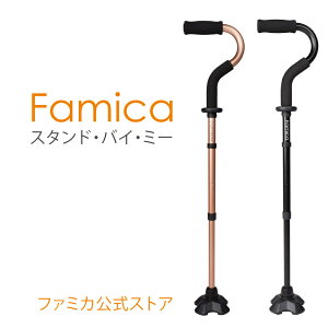 t@~JiFamicaj_ X^hoC~[ y ߉ オT|[g