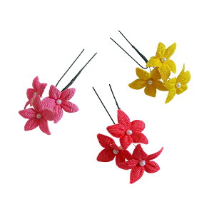 a߂񔯏 Ijs X^[̉ 3 wA[ANZT[ \  l ܎O  Ղ  