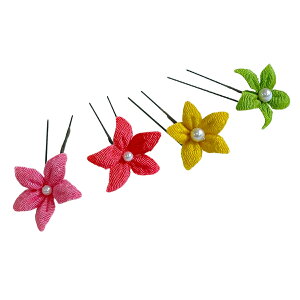 a߂񔯏 Ijs X^[̉ 1 wA[ANZT[ \  l Ǝ  ܎O Ղ   