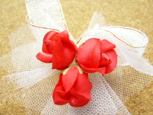 RT[W 415[Y`[ i (1) ԏ  Ǝ w   21l