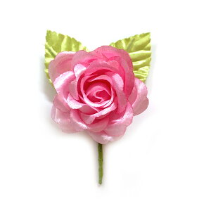 AEgbg RT[W õo sN iSsj i 1  Ǝ  w k