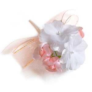  ԏ  WX~ƃõRT[W i i1j   \