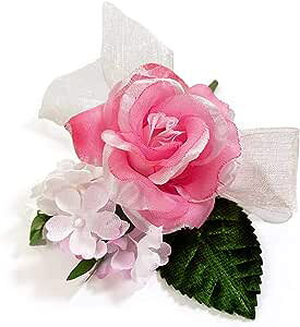 RT[W ̃o Te[Y i (1)  Ǝ w  q l \ ԏ 