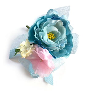 ͂ޓF̃RT[W i (1) Ǝ w   ԏ q l \ k 搶 ی