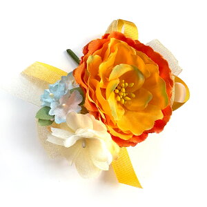 ͂ޓF̃RT[W i (1) Ǝ w   ԏ q l \ k 搶 ی